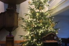 Tannenbaum-Bild-1